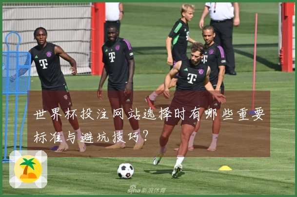 世界杯投注网站选择时有哪些重要标准与避坑技巧？