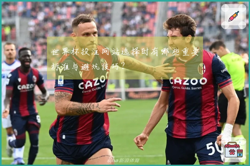 世界杯投注网站选择时有哪些重要标准与避坑技巧？