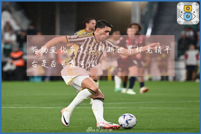 临场变化多怎么判断世界杯竞猜平台是否可靠可信