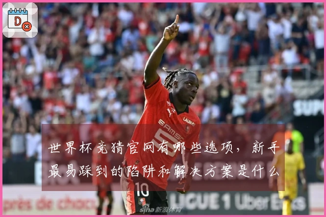 世界杯竞猜官网有哪些选项，新手最易踩到的陷阱和解决方案是什么