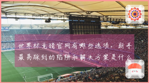世界杯竞猜官网有哪些选项，新手最易踩到的陷阱和解决方案是什么
