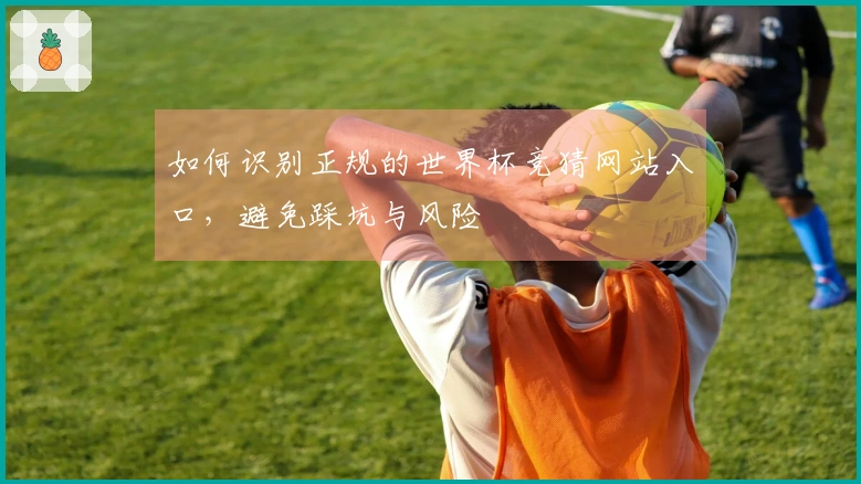 如何识别正规的世界杯竞猜网站入口，避免踩坑与风险
