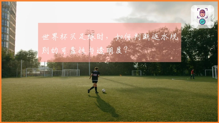 世界杯买足球时，如何判断返水规则的可靠性与透明度？