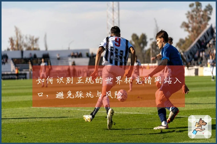 如何识别正规的世界杯竞猜网站入口，避免踩坑与风险